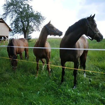 Im Landgasthof Gasthof Heukewalde
